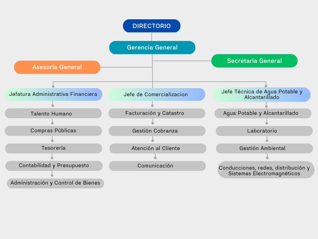 organigrama funcional